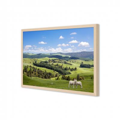 PAISAJE Y DOS OVEJAS 10800