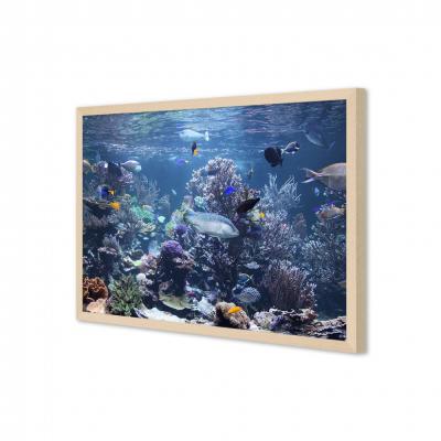 ACUARIO MARINO 25688