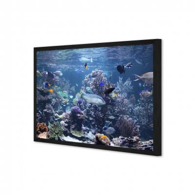 ACUARIO MARINO 25688