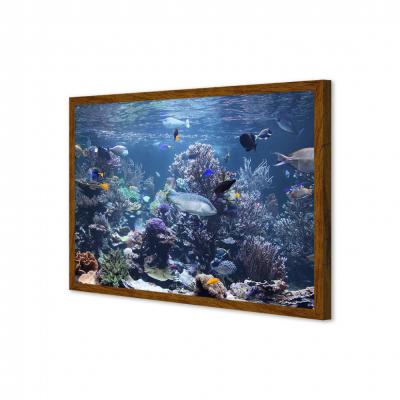ACUARIO MARINO 25688