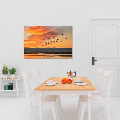 AVES EN EL ATARDECER 12044