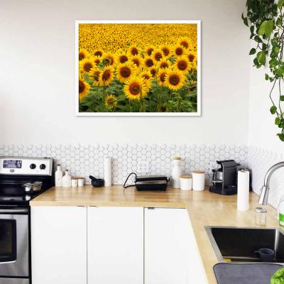 GIRASOLES