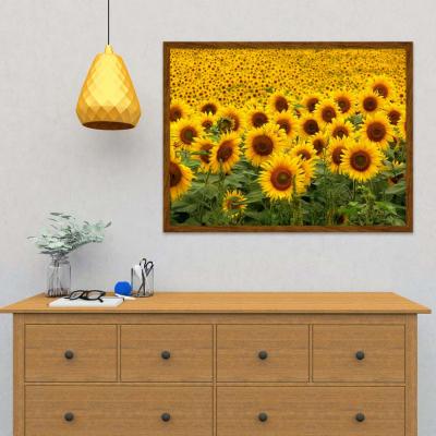 GIRASOLES