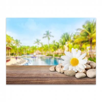 FLOR Y SPA 232027