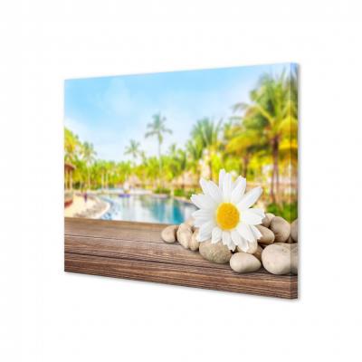 FLOR Y SPA 232027