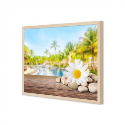 FLOR Y SPA 232027