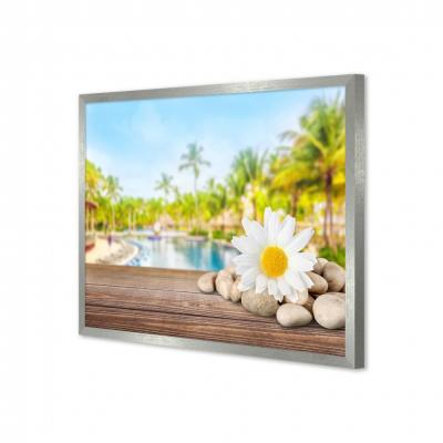 FLOR Y SPA 232027