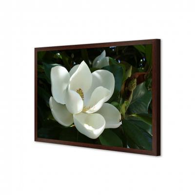 MAGNOLIA BLANCA 21166
