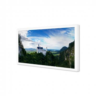 CASTILLO DE NEUSCHWANSTEIN, ALEMANIA
