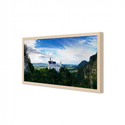 CASTILLO DE NEUSCHWANSTEIN, ALEMANIA