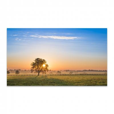 AMANECER EN EL CAMPO 80815