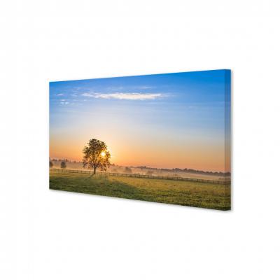 AMANECER EN EL CAMPO 80815