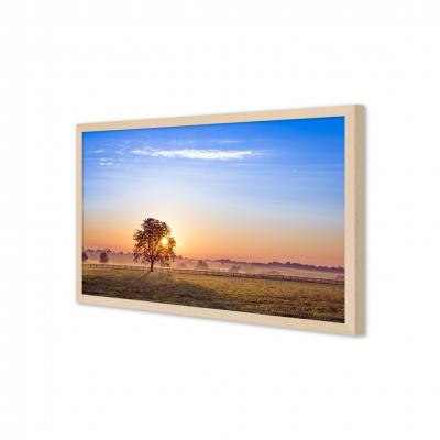 AMANECER EN EL CAMPO 80815