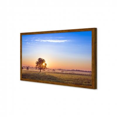 AMANECER EN EL CAMPO 80815