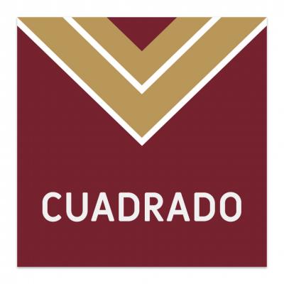 Marco Estandar Cuadrado