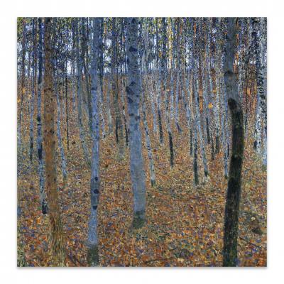 HAYAL I, KLIMT