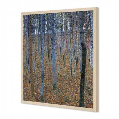 HAYAL I, KLIMT