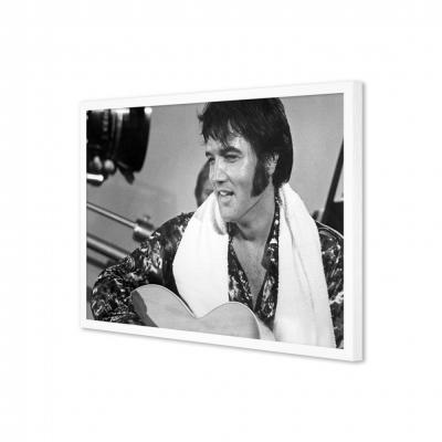 ELVIS
