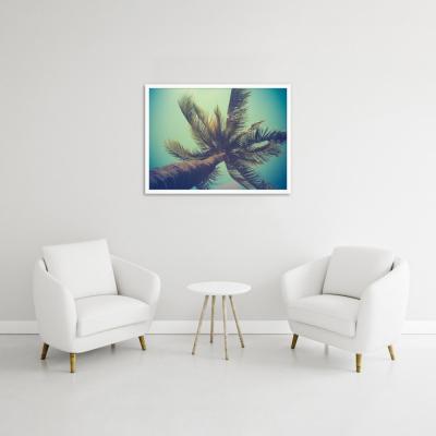 PALMERA