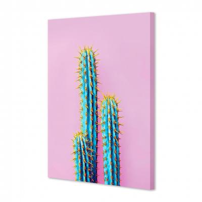 CACTUS CON FONDO ROSA