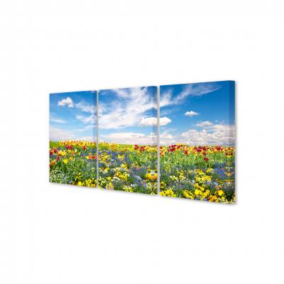 FLORES DE COLORES (TRIPTICO)