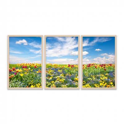 FLORES DE COLORES (TRIPTICO)