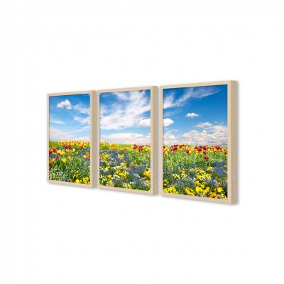 FLORES DE COLORES (TRIPTICO)