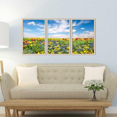FLORES DE COLORES (TRIPTICO)